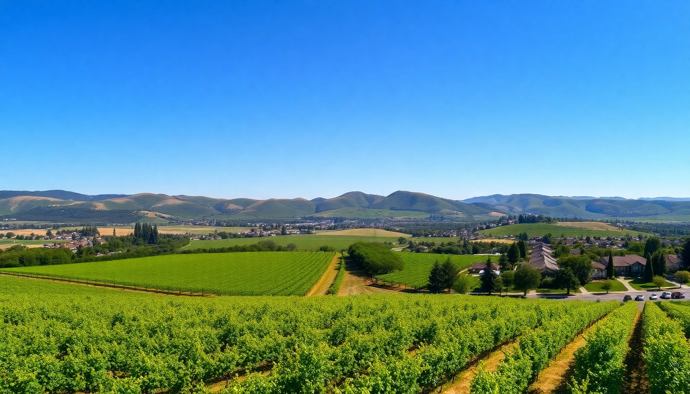 Experience the Tranquil Beauty of Clarksburg CA: A Guide to its Points of Interest
